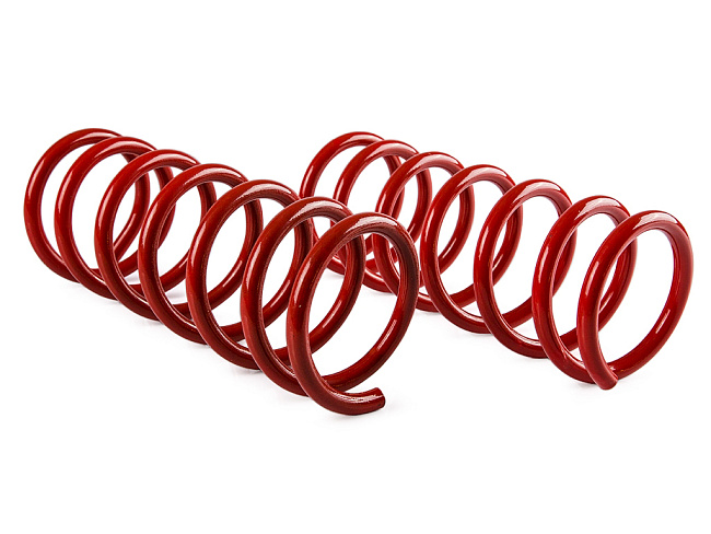 картинка Пружины подвески для Ford Focus 1 (-30) задние магазин  StreetTuning 