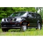 Nissan Navara 2005—2010 Защитная сетка решетки радиатора