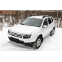 Renault Duster 2015-н.в. Решетка радиатора с сеткой металлик (4 мм) Вариант 1