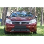 Renault Sandero 2009—2013 Защитная сетка решетки переднего бампера (с ДХО)