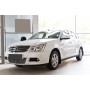 Nissan Almera 2014—н.в. Защитная сетка решетки переднего бампера