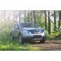 Nissan Qashqai 2006—2010 Защитная сетка решетки переднего бампера