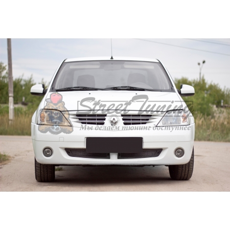 Renault Logan 2004—2010 Защитная сетка решетки переднего бампера